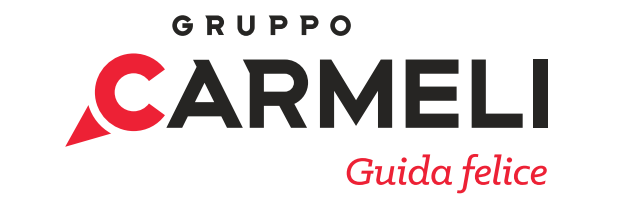 Gruppo Carmeli S.p.A. - San Zeno